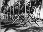 PICT3887.jpg (141kb)