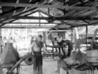PICT2896.jpg (143kb)