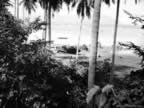 PICT5522.jpg (95kb)