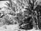PICT3923.jpg (206kb)